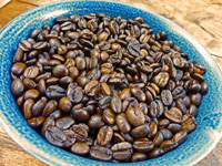 焙煎後の珈琲豆